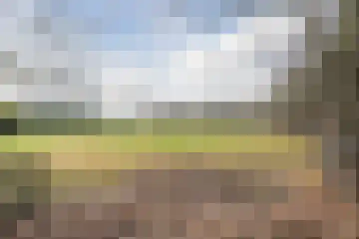 Boslaan 37 Dorst thumbnail 4