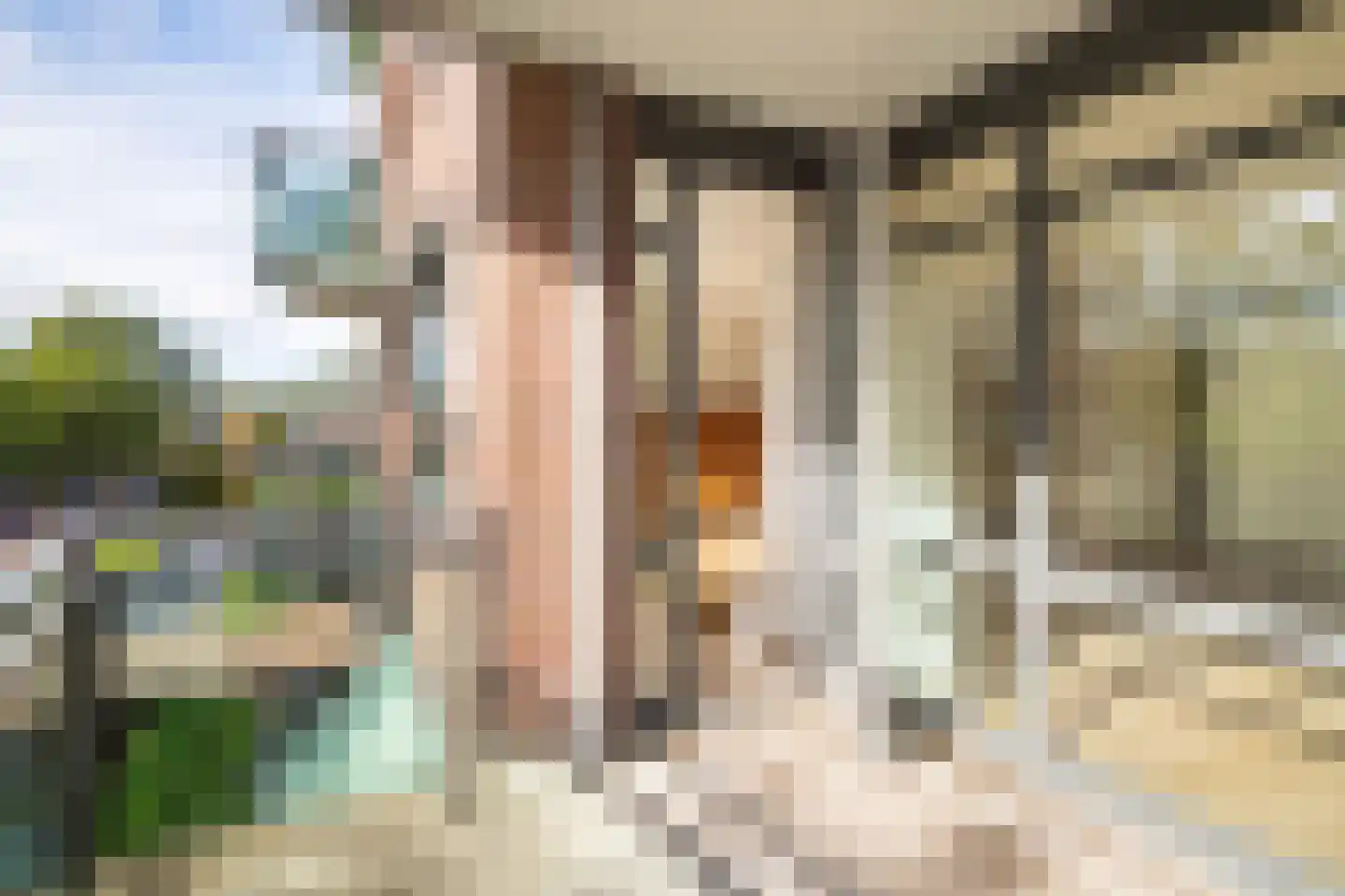 Boslaan 37 Nieuwerkerk aan den IJssel thumbnail 18
