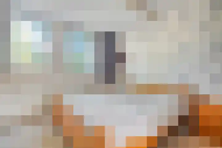 Boslaan 38 Balkbrug thumbnail 15