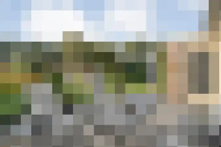 Boslaan 38 Balkbrug thumbnail 30