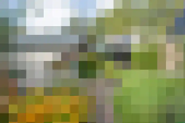 Boslaan 38 Balkbrug thumbnail 33