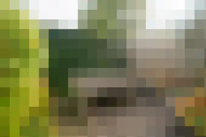 Boslaan 38 Balkbrug thumbnail 34