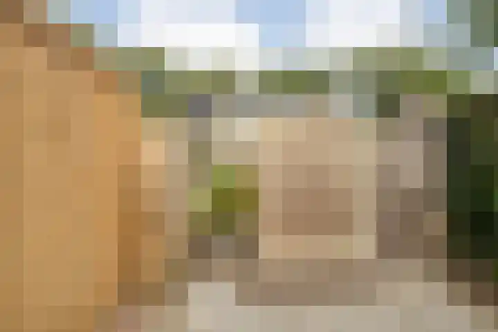 Boslaan 38 Balkbrug thumbnail 35