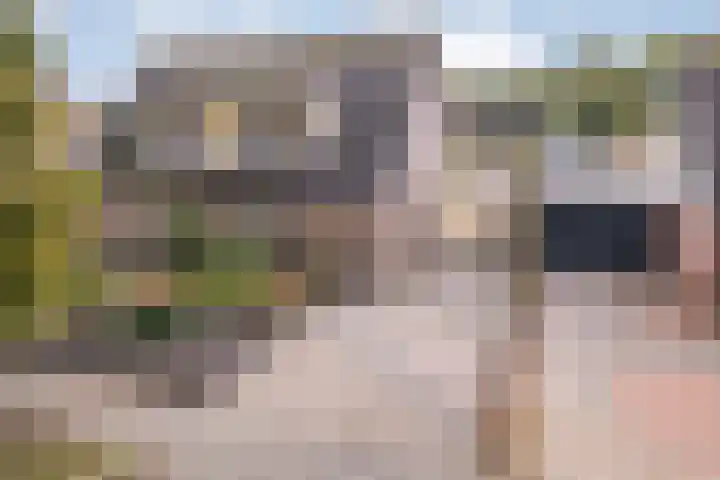 Boslaan 38 Balkbrug thumbnail 36