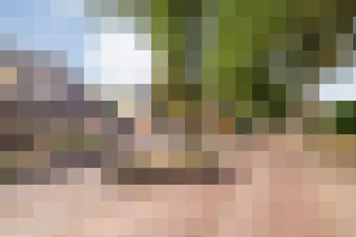Boslaan 38 Balkbrug thumbnail 37