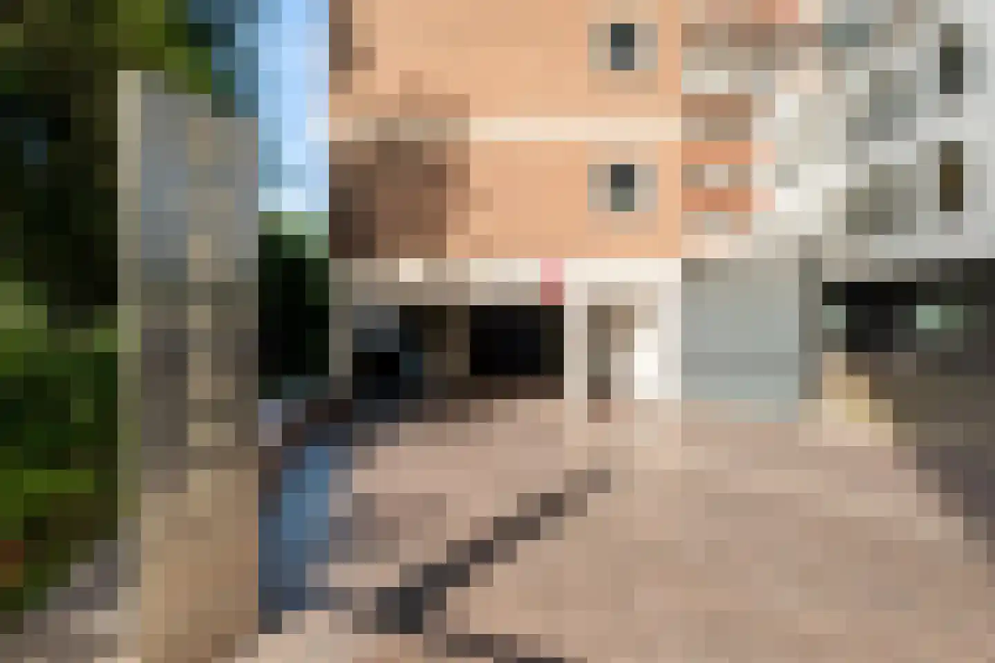 Boslaan 387 Den Haag thumbnail 35