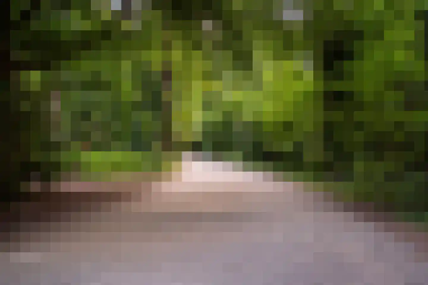 Boslaan 387 Den Haag thumbnail 43