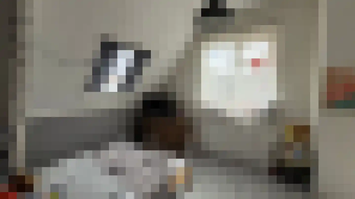 Boslaan 4 Emmen thumbnail 10