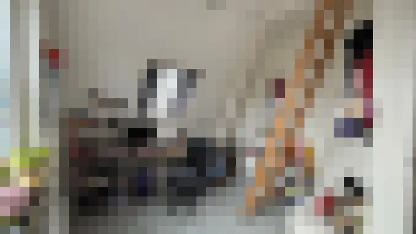 Boslaan 4 Emmen thumbnail 12