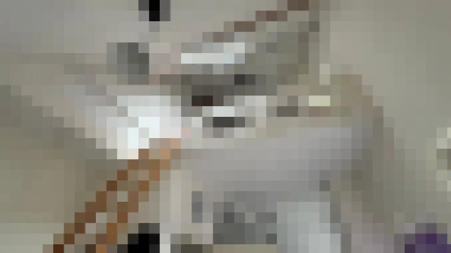 Boslaan 4 Emmen thumbnail 13