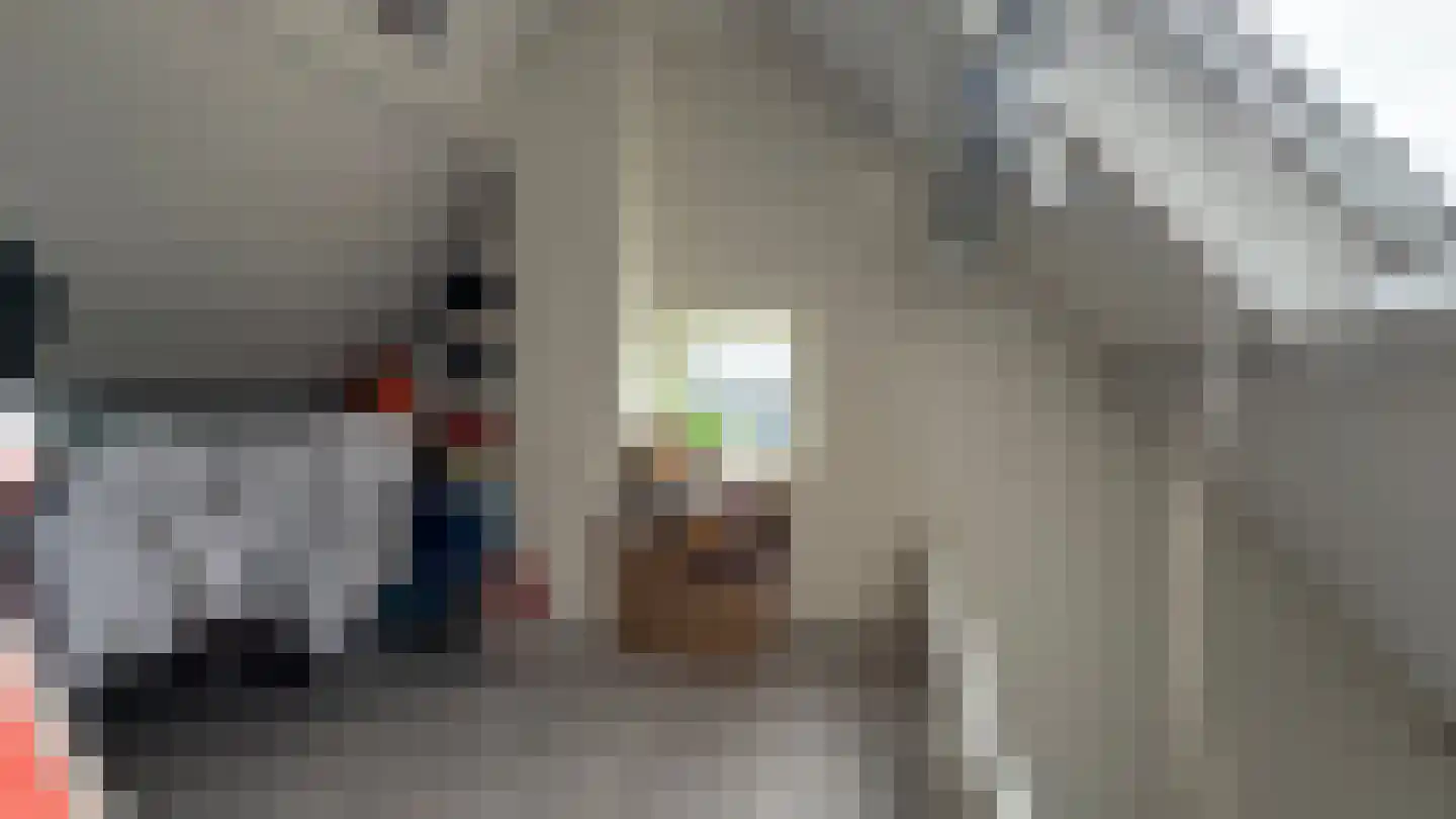 Boslaan 4 Emmen thumbnail 14