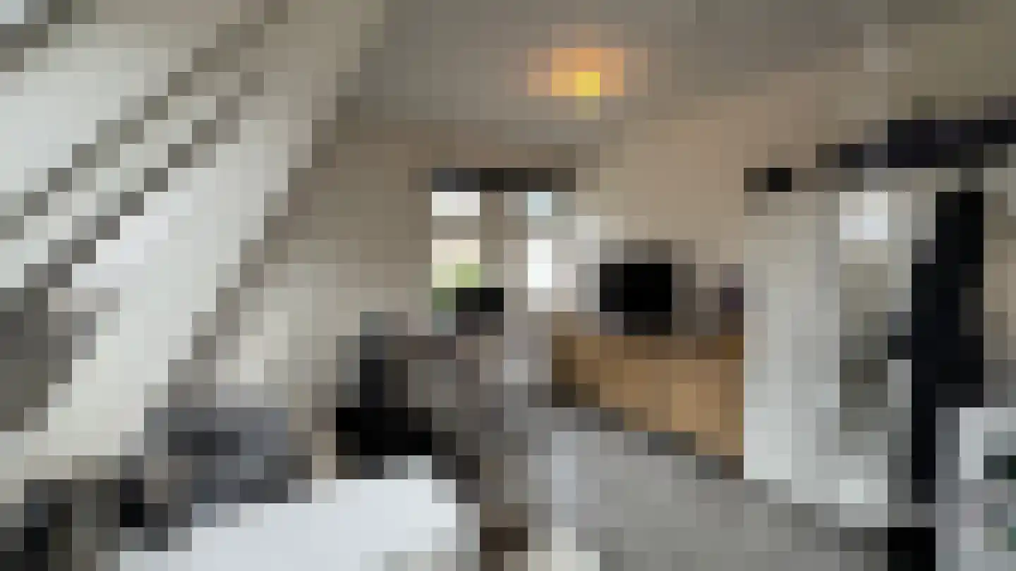 Boslaan 4 Emmen thumbnail 16