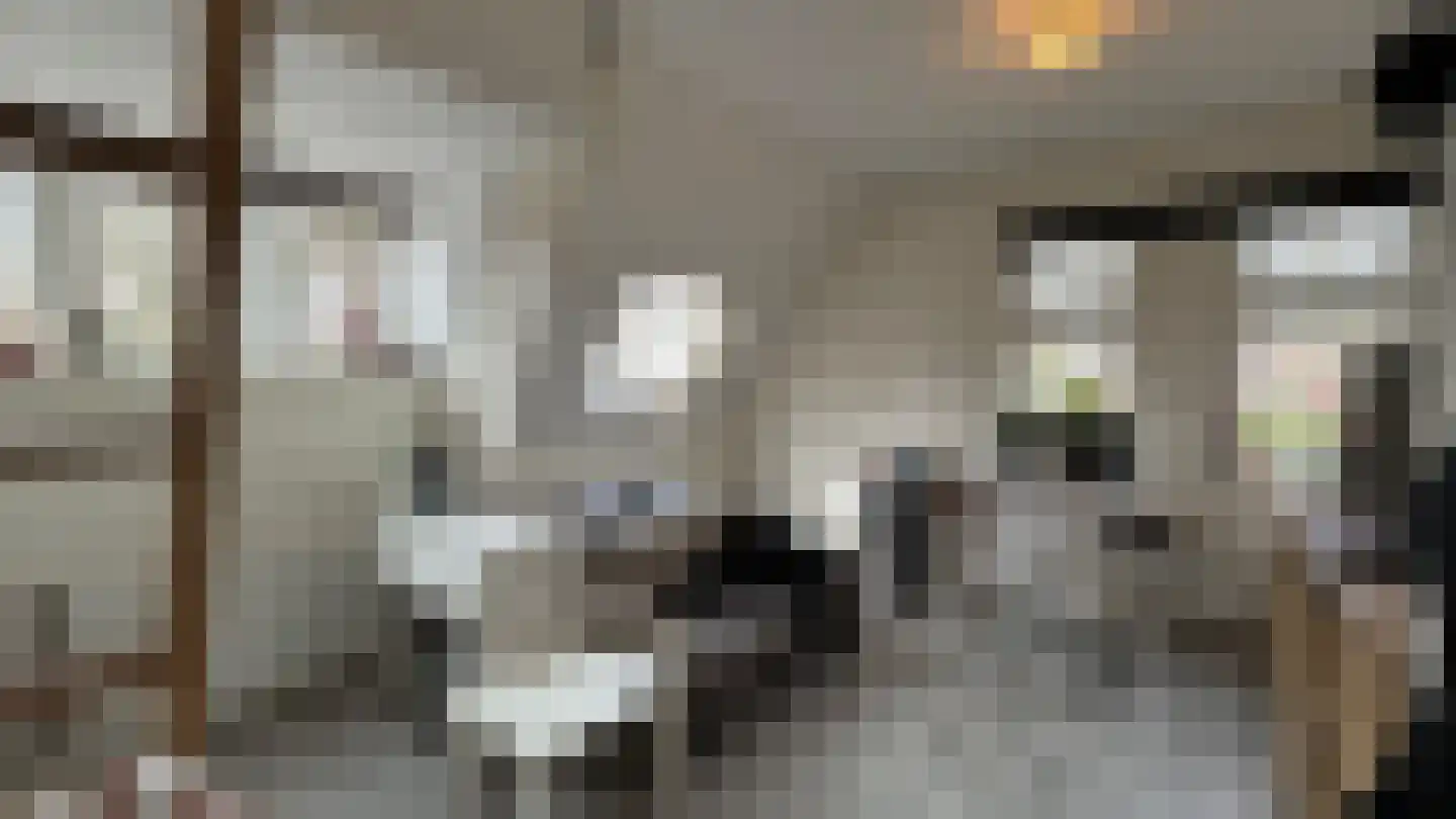 Boslaan 4 Emmen thumbnail 18