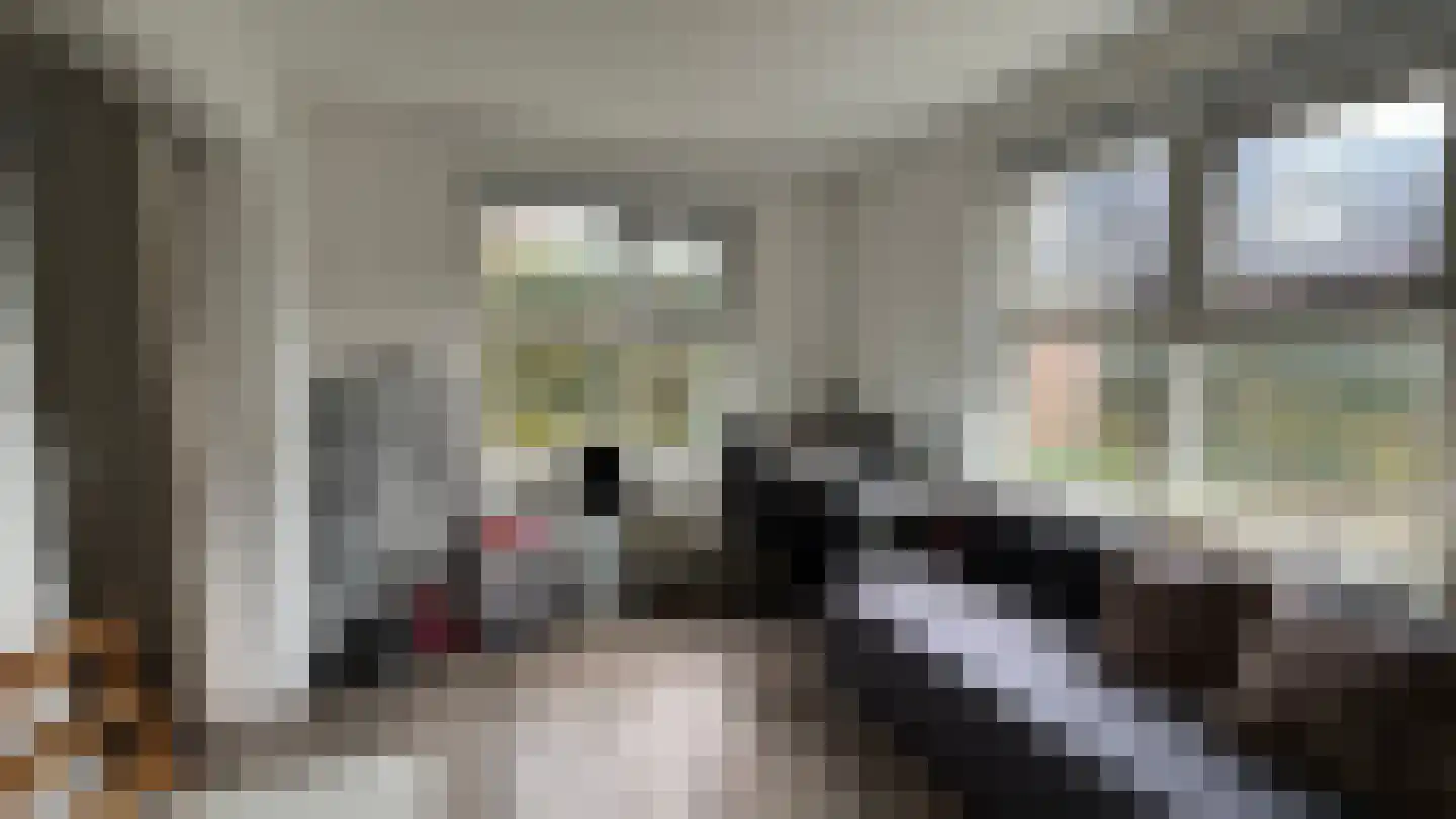 Boslaan 4 Emmen thumbnail 32