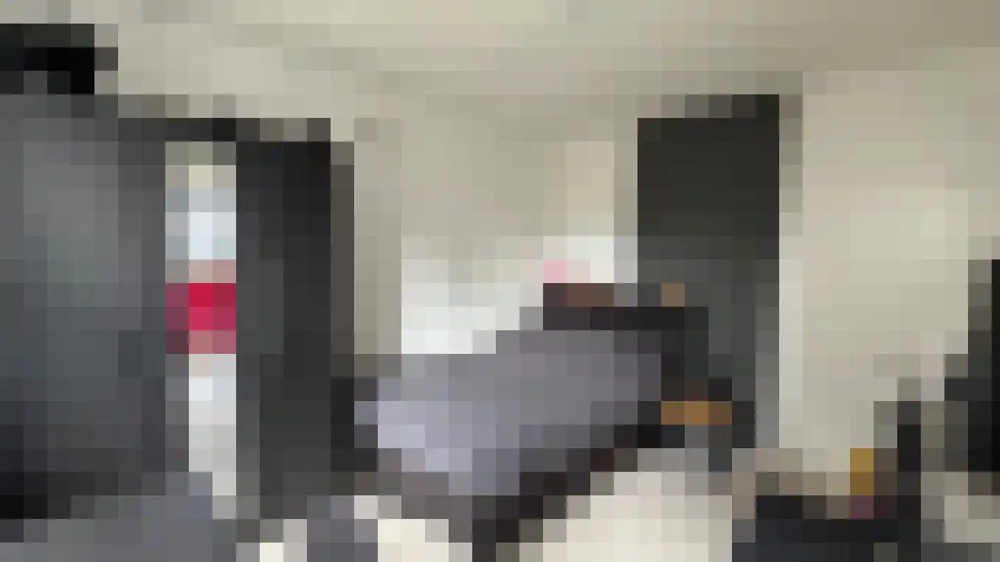 Boslaan 4 Emmen thumbnail 33