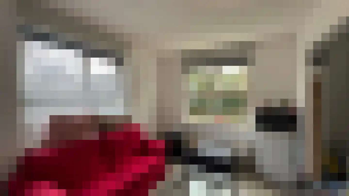 Boslaan 4 Emmen thumbnail 35
