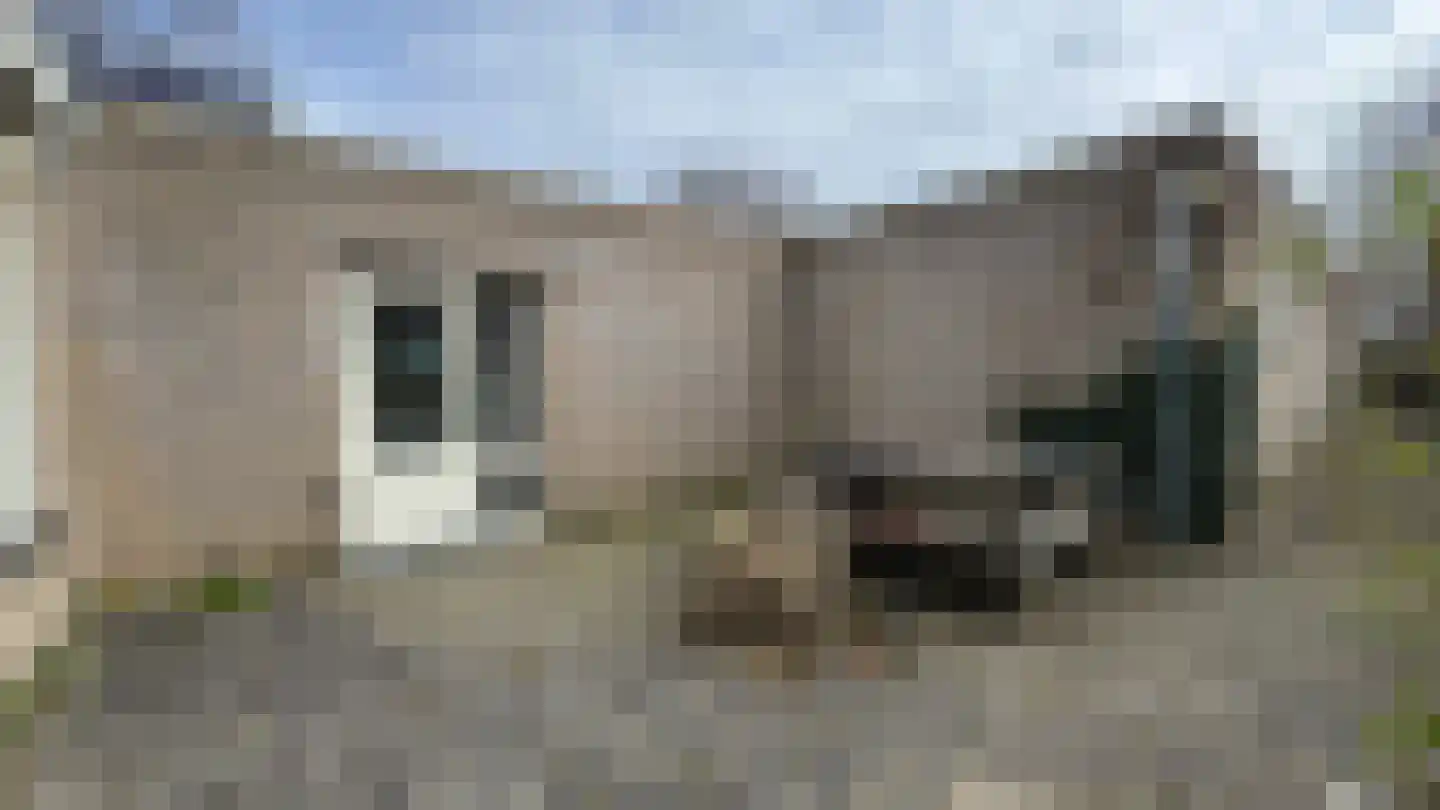 Boslaan 4 Emmen thumbnail 45