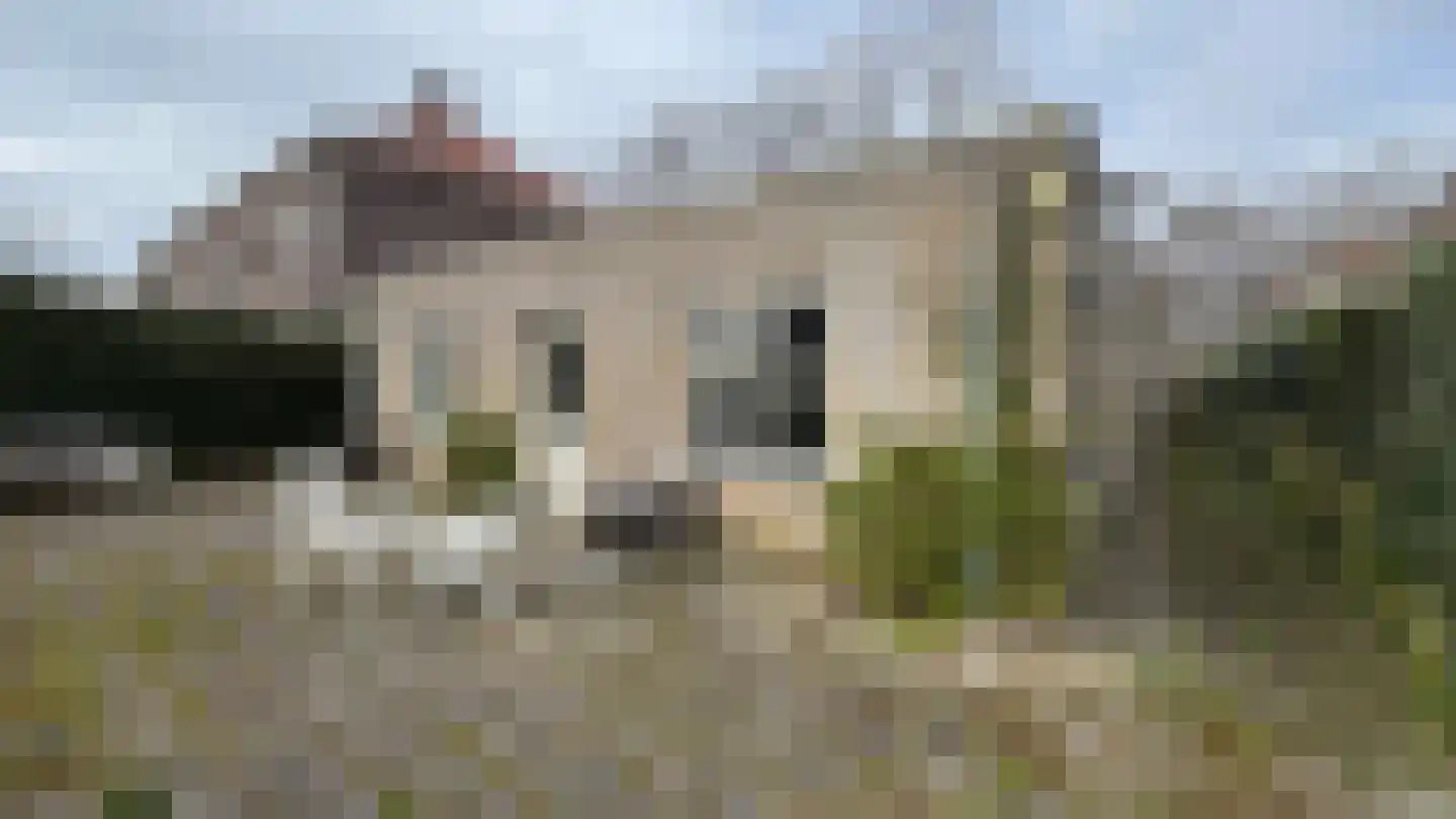 Boslaan 4 Emmen thumbnail 48