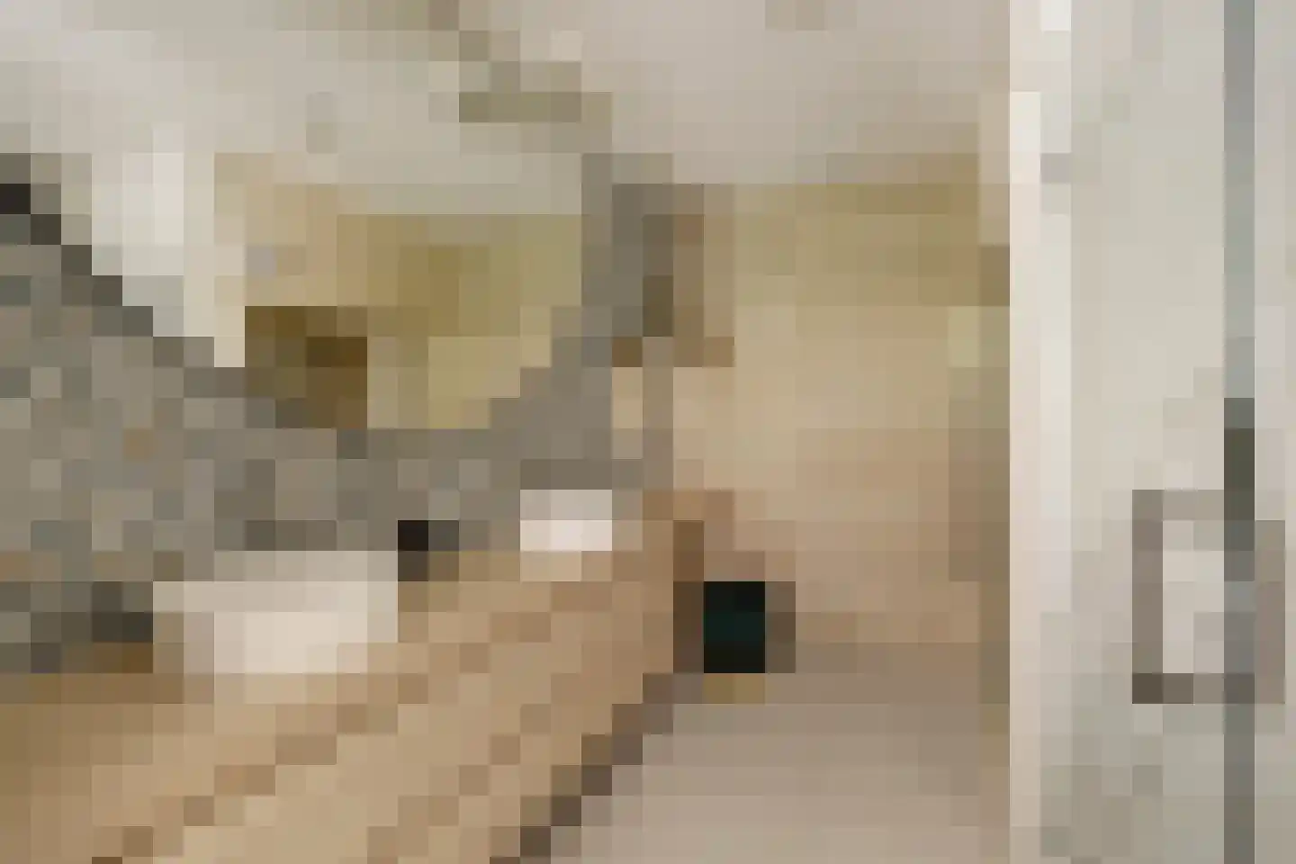 Boslaan 4 Hilversum thumbnail 25