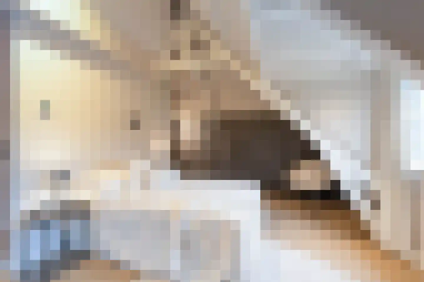 Boslaan 4 Hilversum thumbnail 35