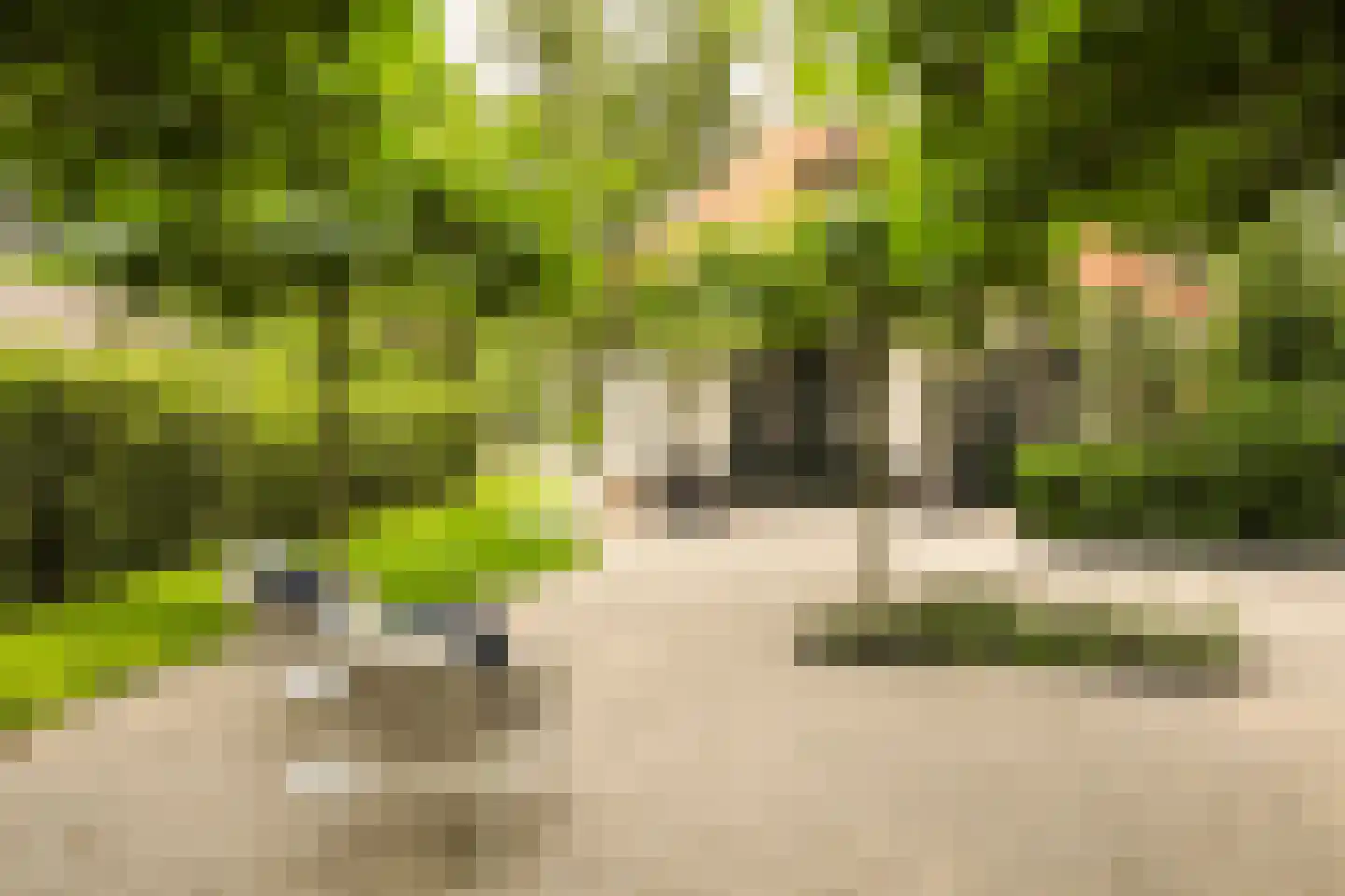 Boslaan 4 Hilversum thumbnail 4