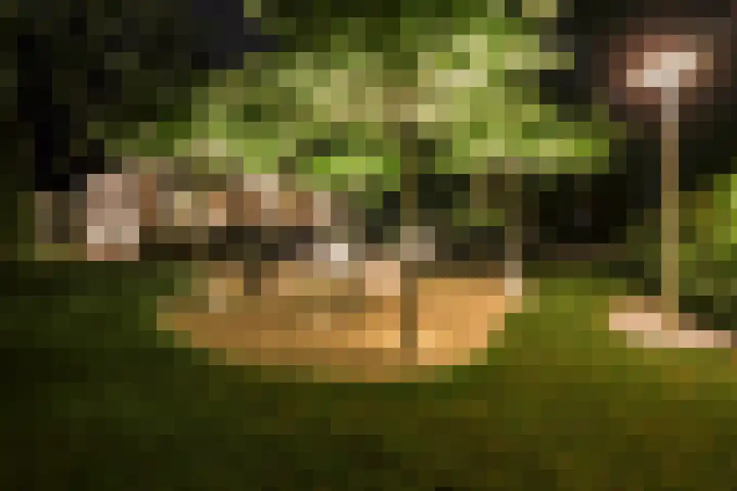 Boslaan 4 Hilversum thumbnail 42
