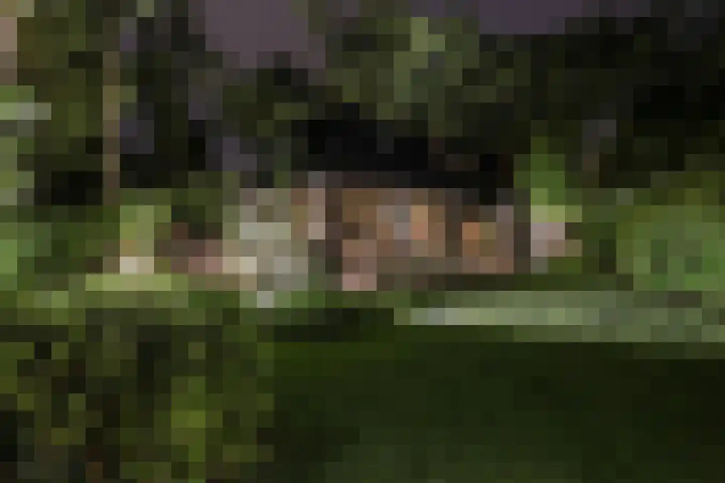 Boslaan 4 Hilversum thumbnail 45