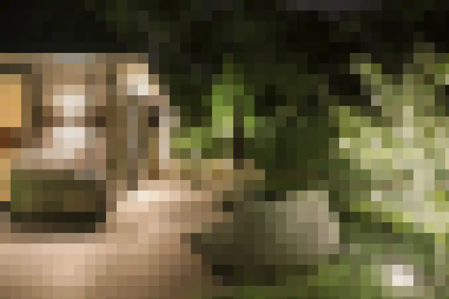 Boslaan 4 Hilversum thumbnail 47