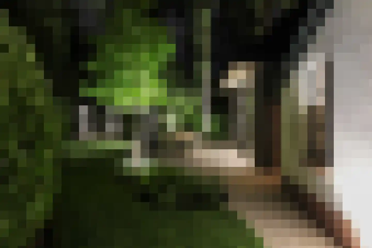 Boslaan 4 Hilversum thumbnail 48