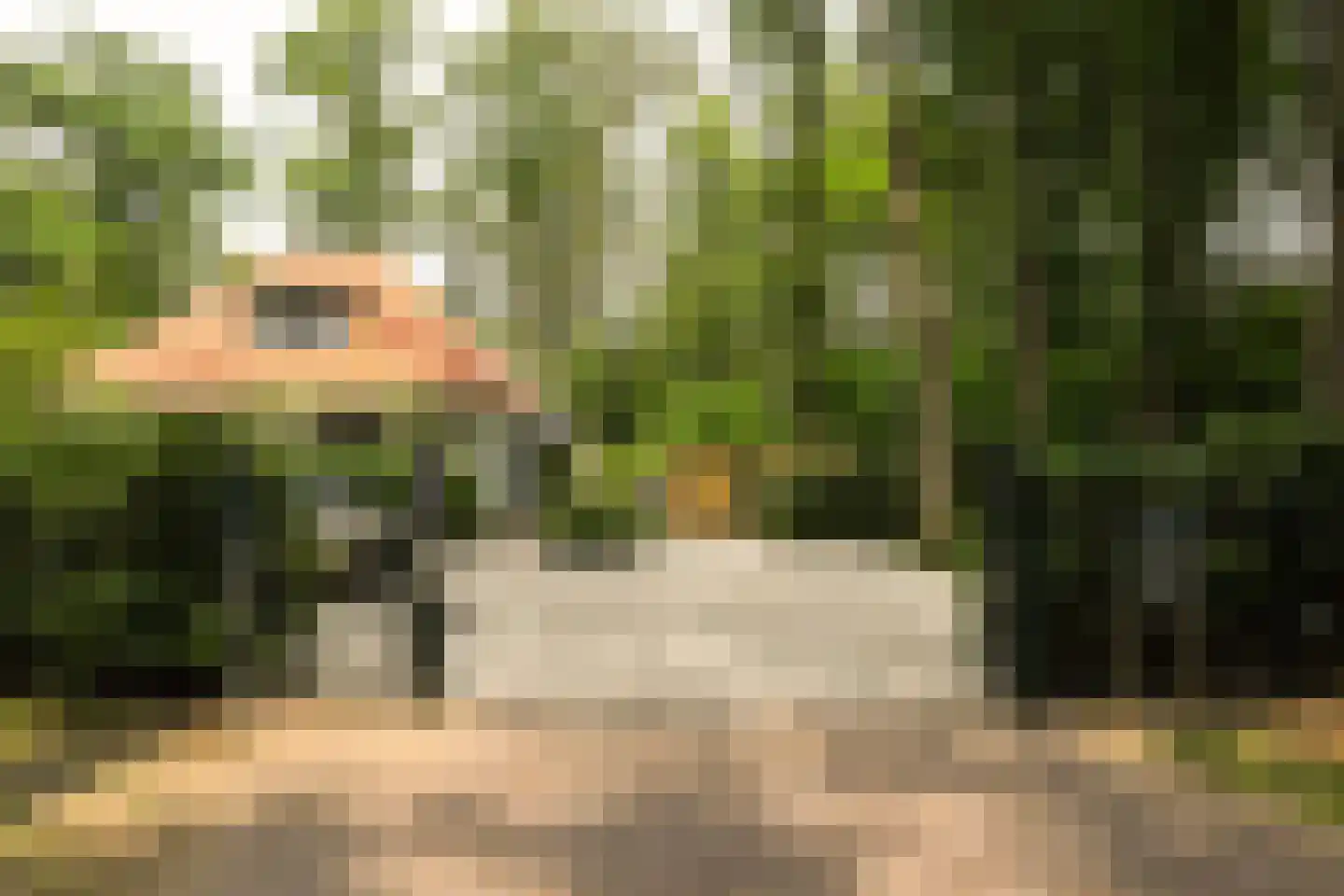 Boslaan 4 Hilversum thumbnail 5