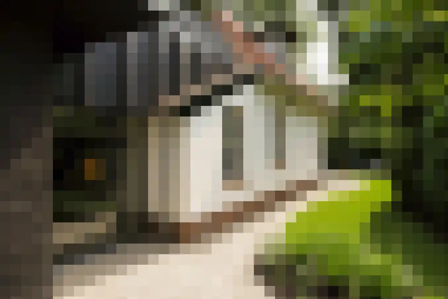 Boslaan 4 Hilversum thumbnail 54