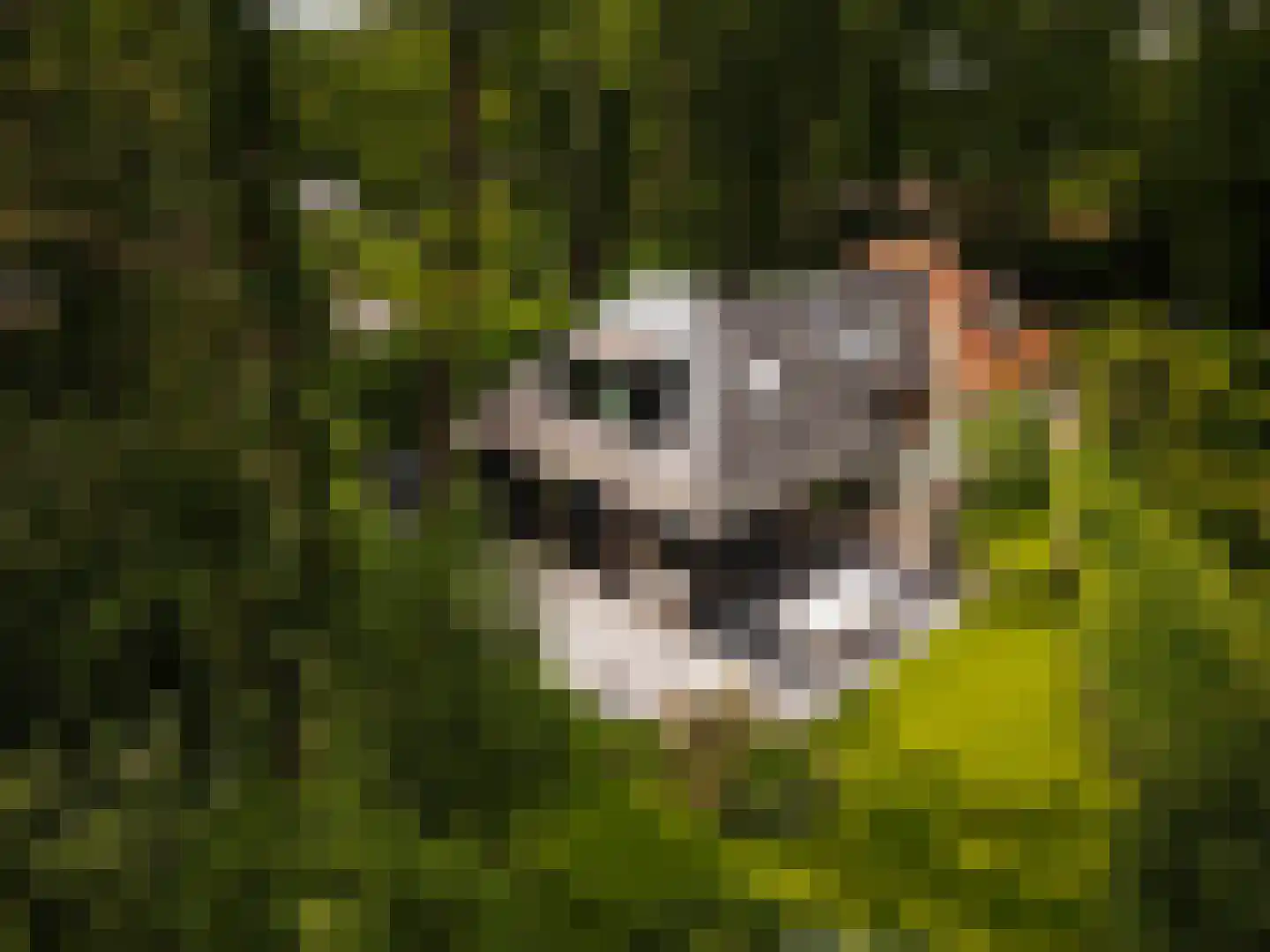Boslaan 4 Hilversum thumbnail 56