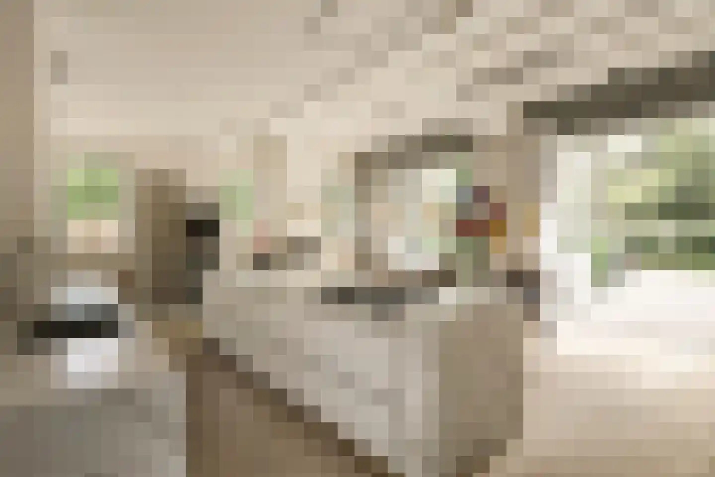 Boslaan 4 Hilversum thumbnail 6
