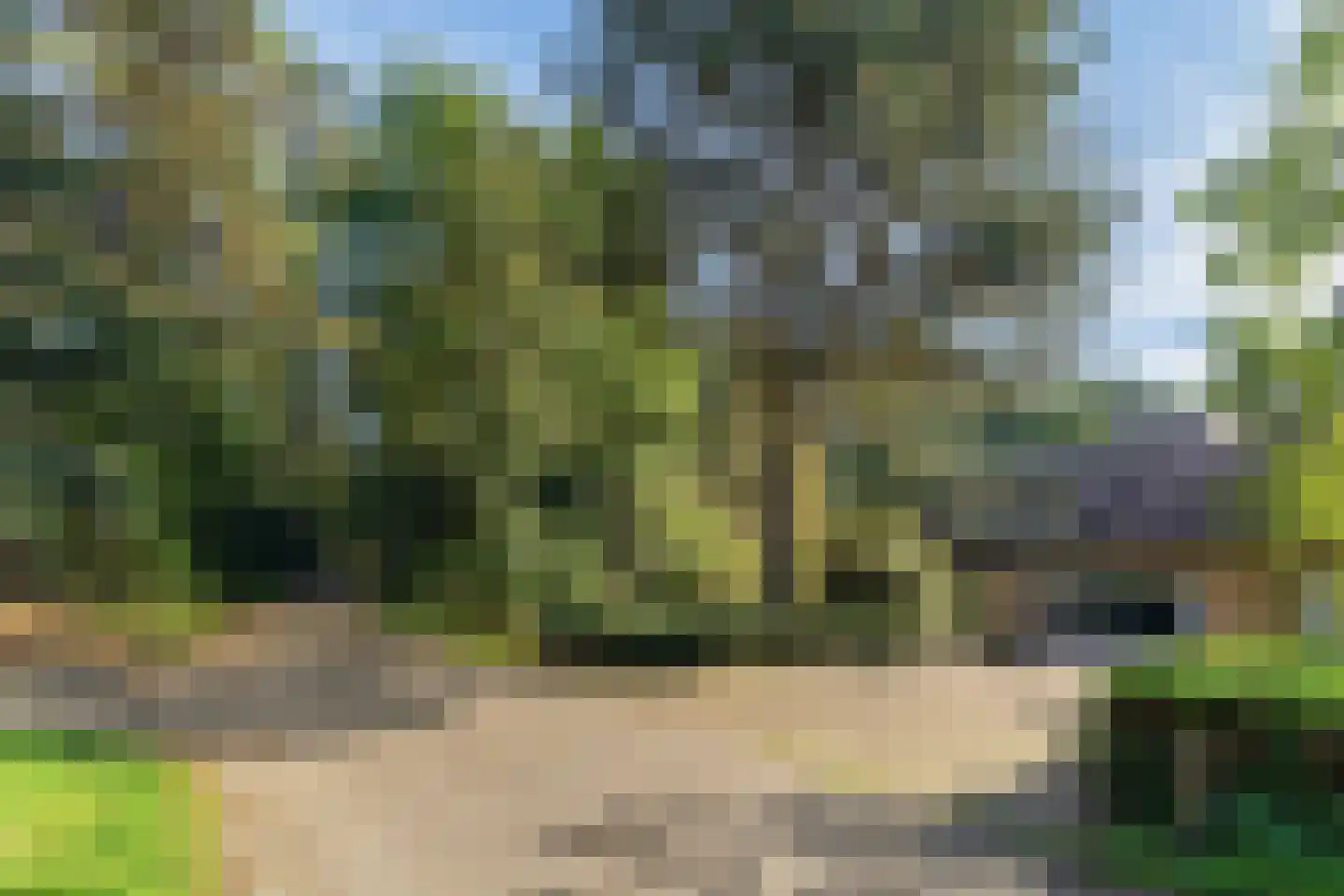 Boslaan 4 Mierlo thumbnail 10