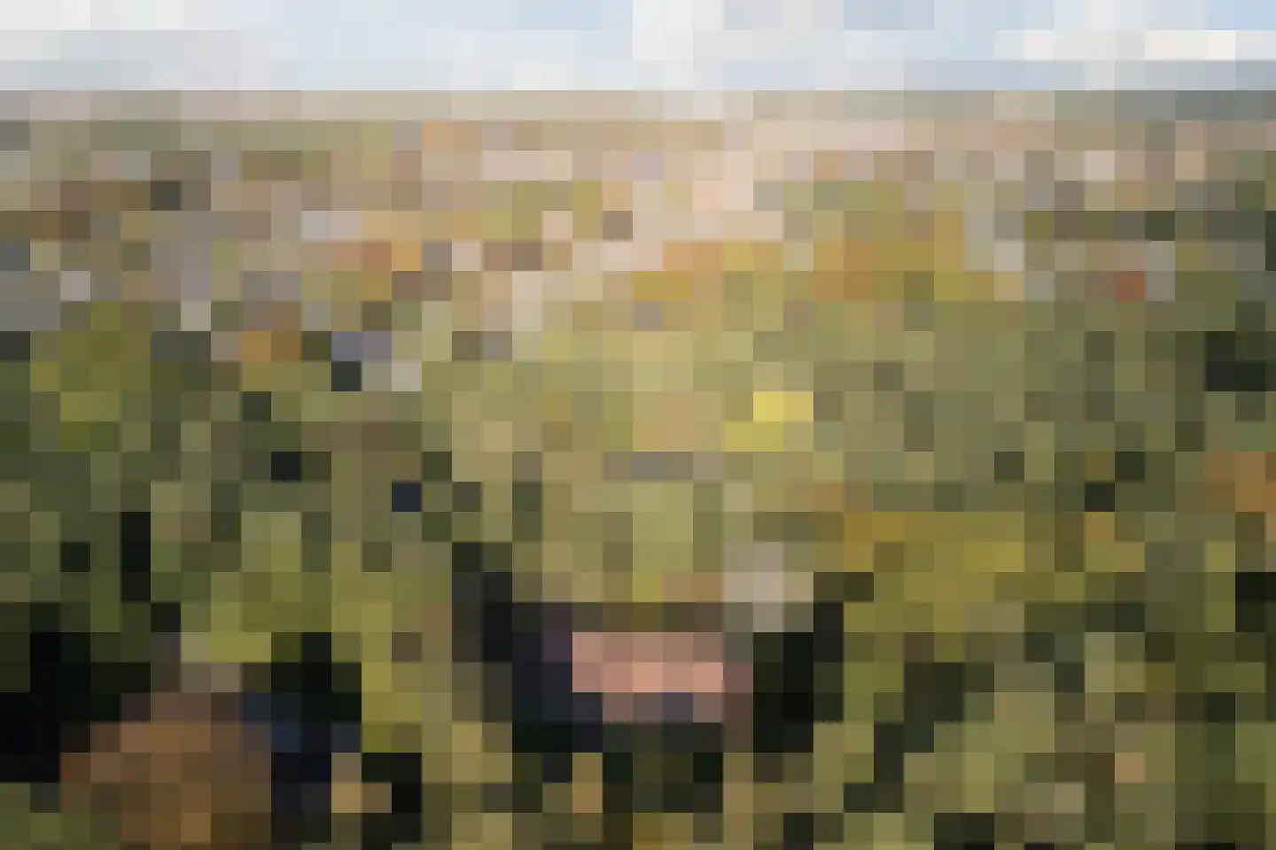 Boslaan 4 Mierlo thumbnail 101