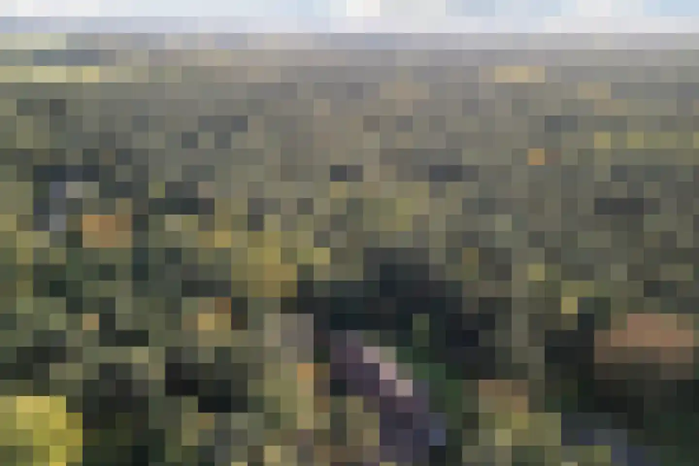 Boslaan 4 Mierlo thumbnail 102