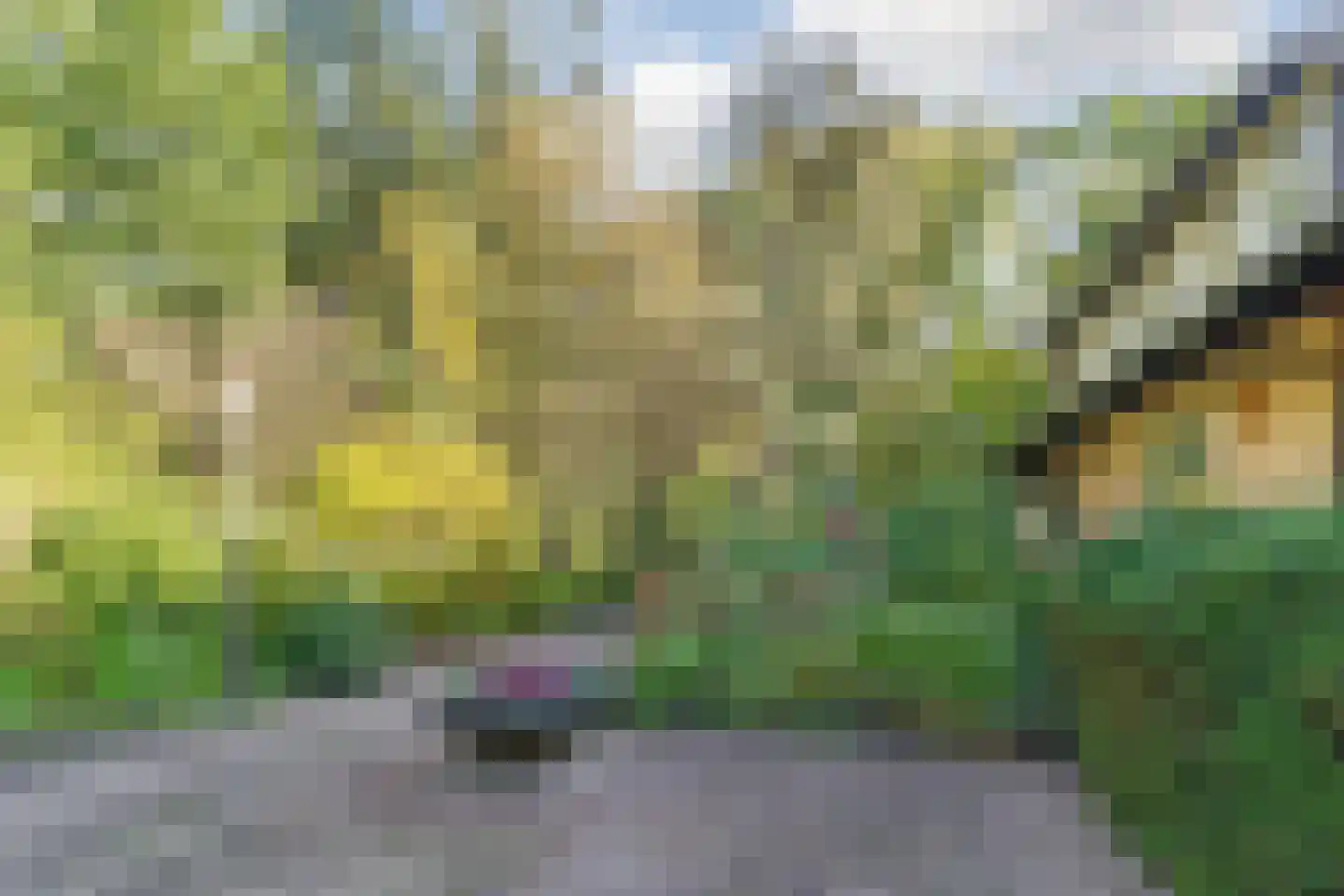 Boslaan 4 Mierlo thumbnail 13
