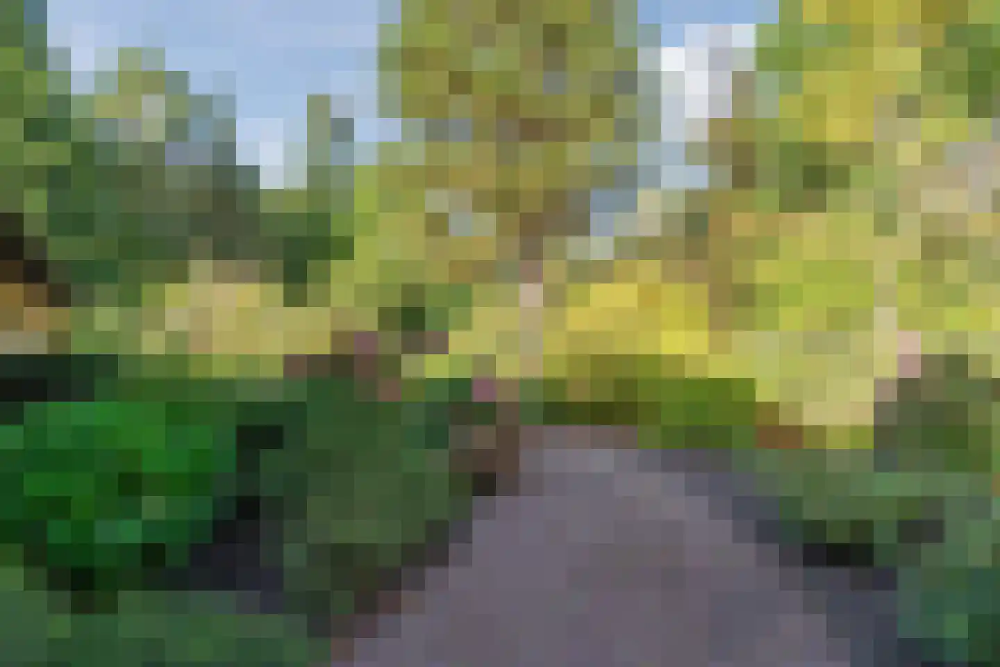 Boslaan 4 Mierlo thumbnail 14