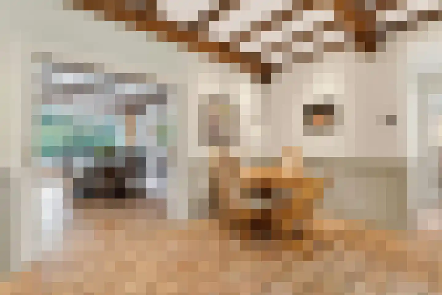 Boslaan 4 Mierlo thumbnail 38
