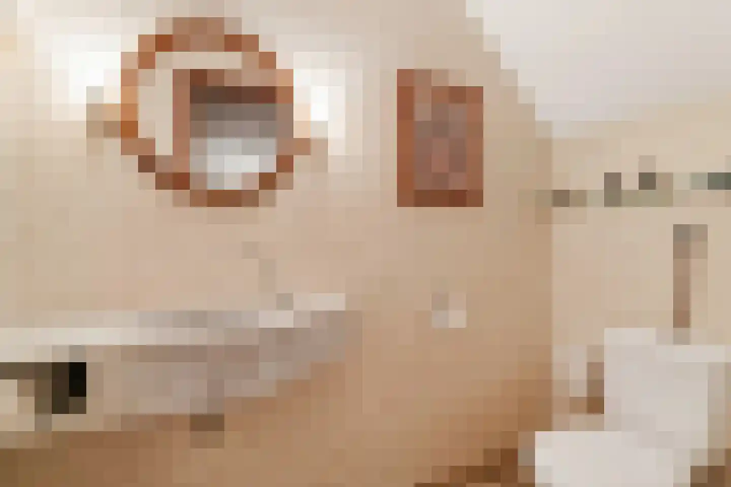 Boslaan 4 Mierlo thumbnail 44