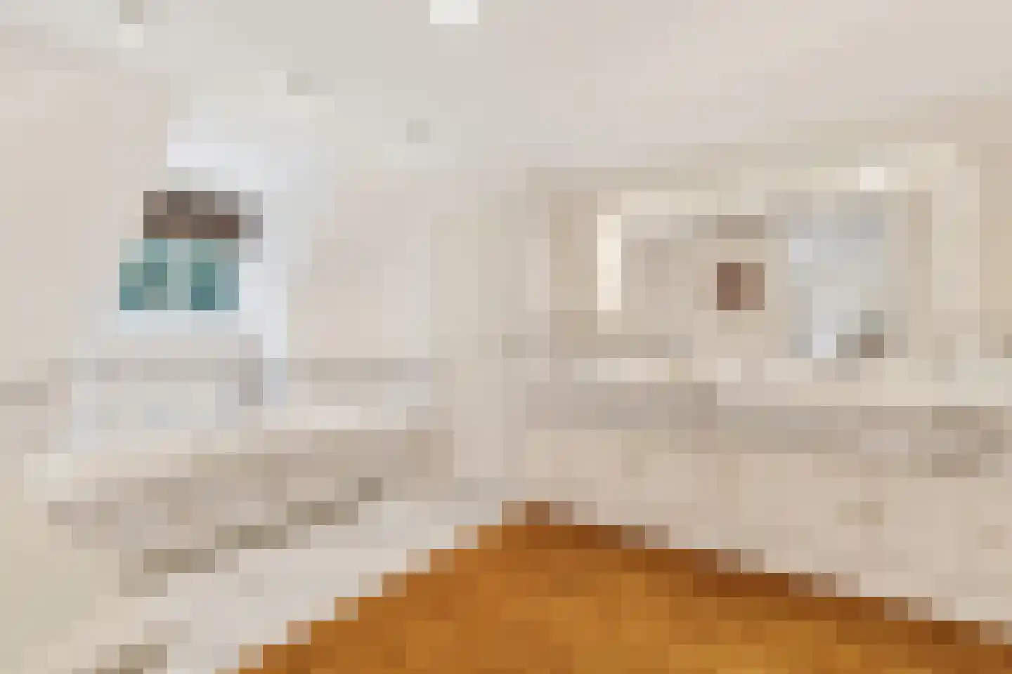 Boslaan 4 Mierlo thumbnail 52