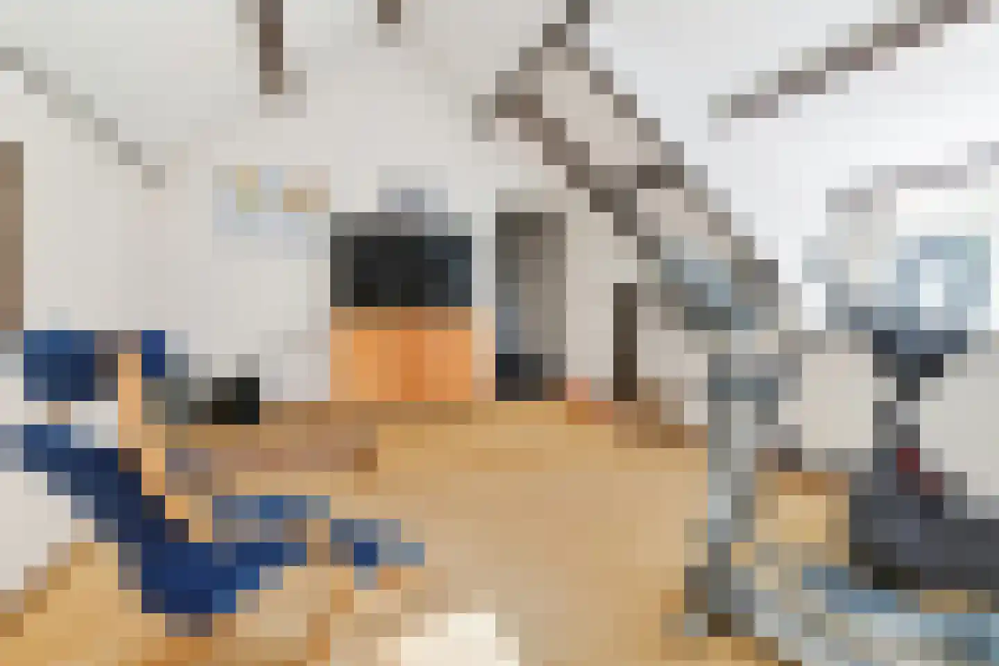Boslaan 4 Mierlo thumbnail 68