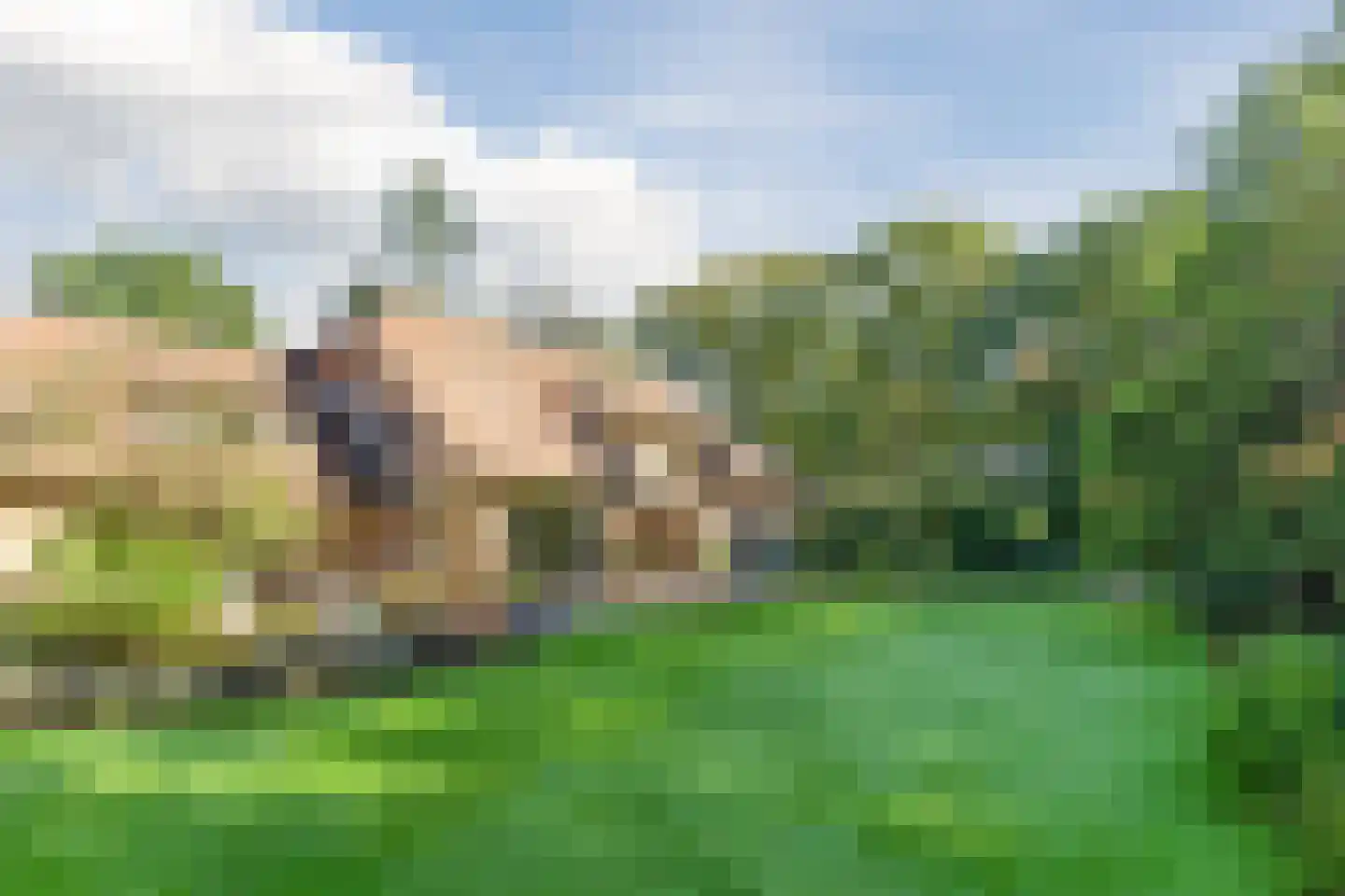 Boslaan 4 Mierlo thumbnail 76