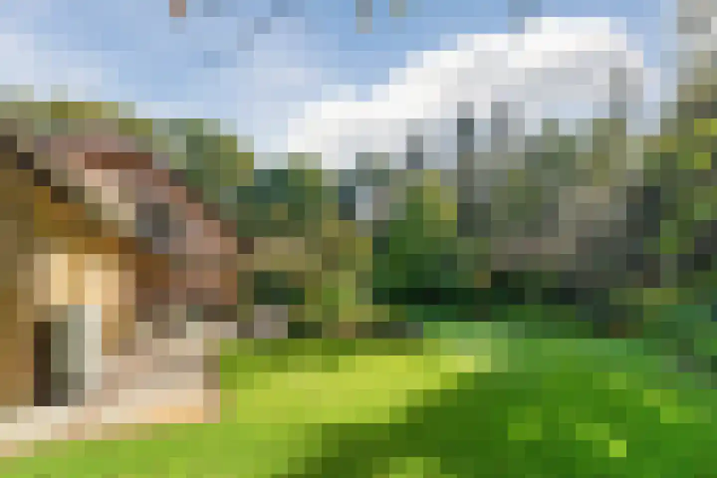 Boslaan 4 Mierlo thumbnail 8