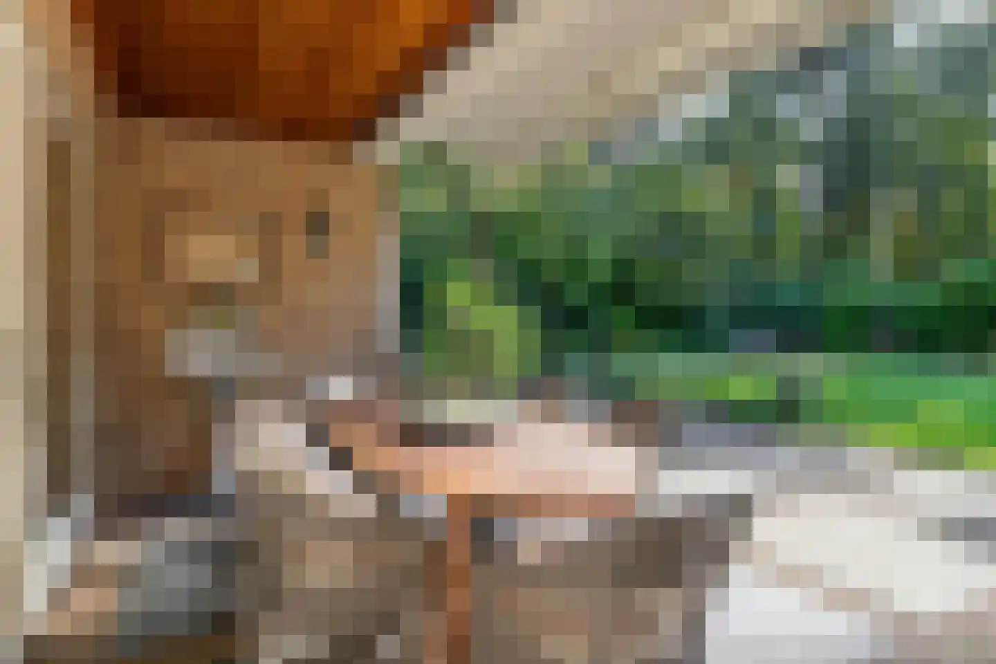 Boslaan 4 Mierlo thumbnail 80