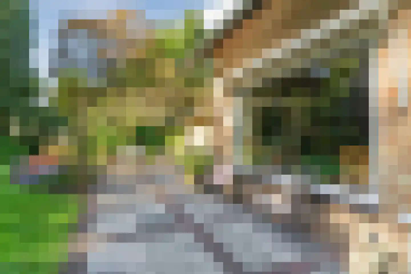 Boslaan 4 Mierlo thumbnail 82
