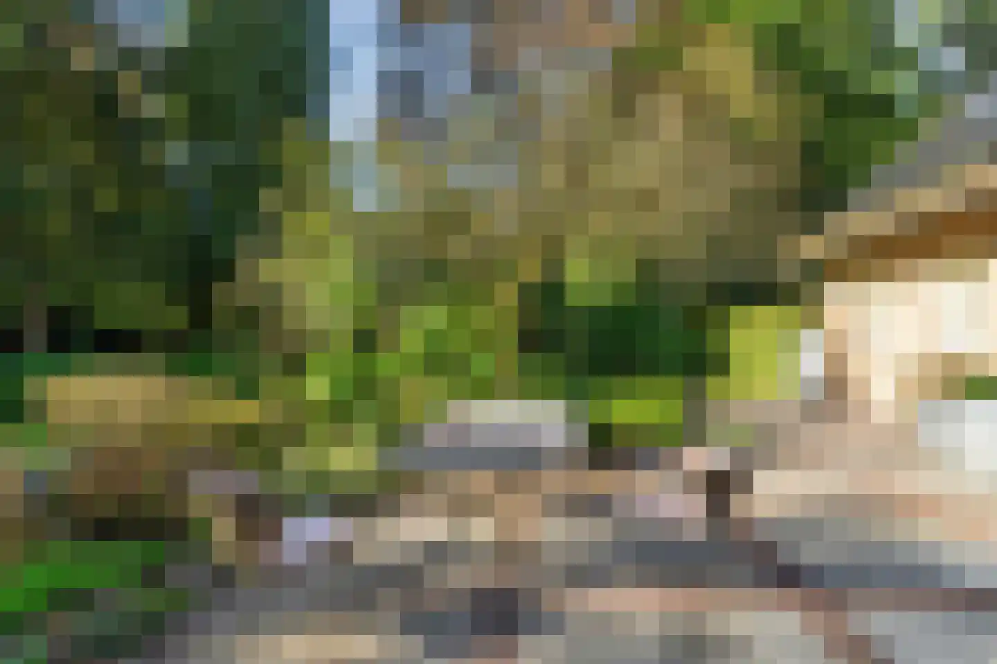 Boslaan 4 Mierlo thumbnail 83