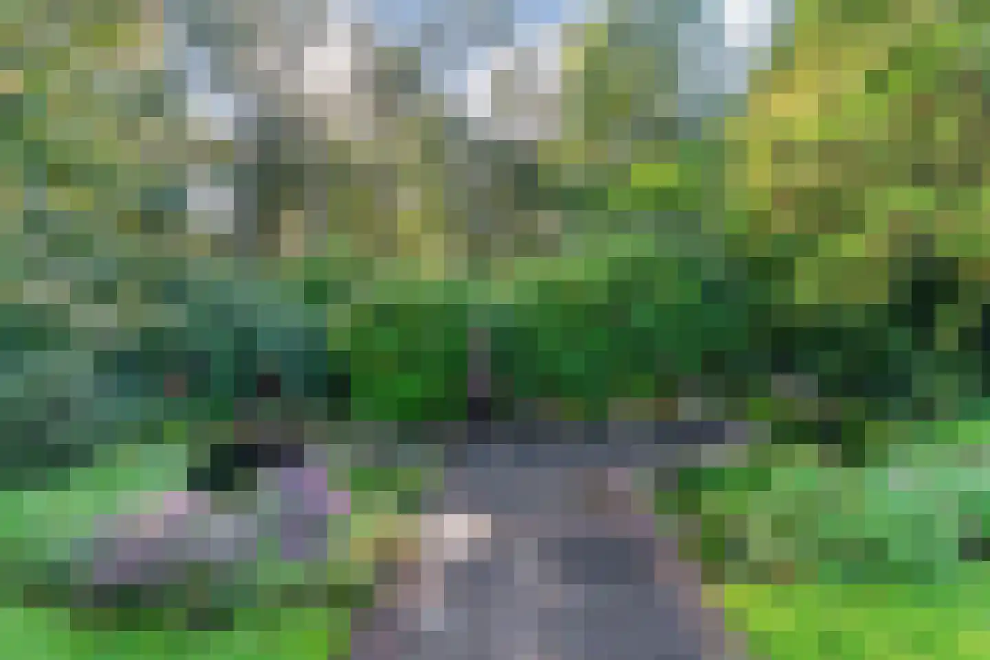 Boslaan 4 Mierlo thumbnail 88