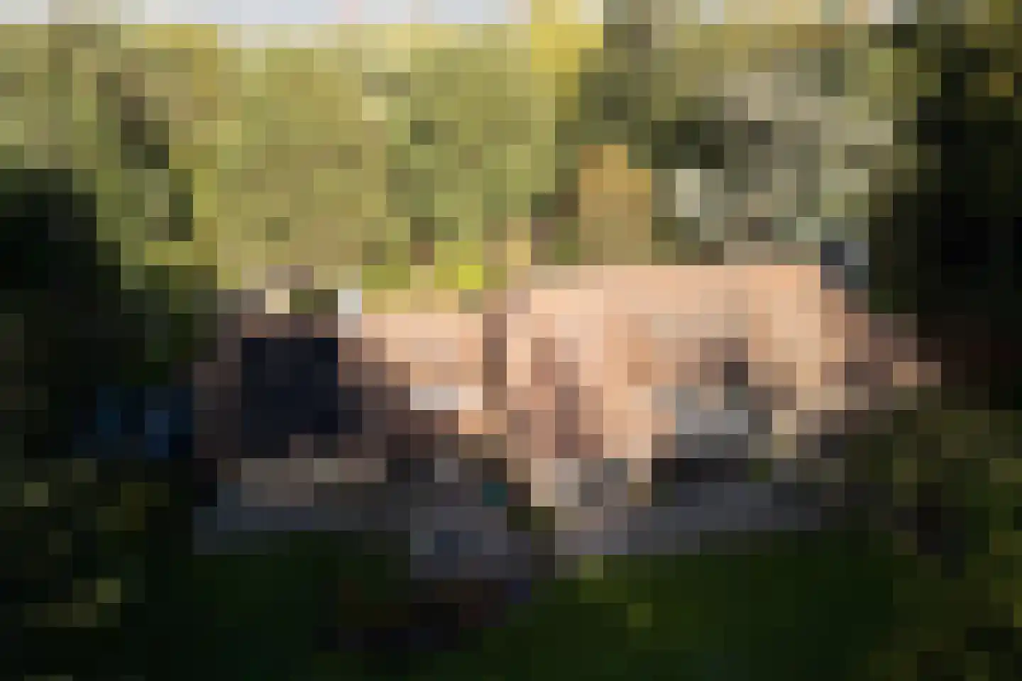 Boslaan 4 Mierlo thumbnail 92