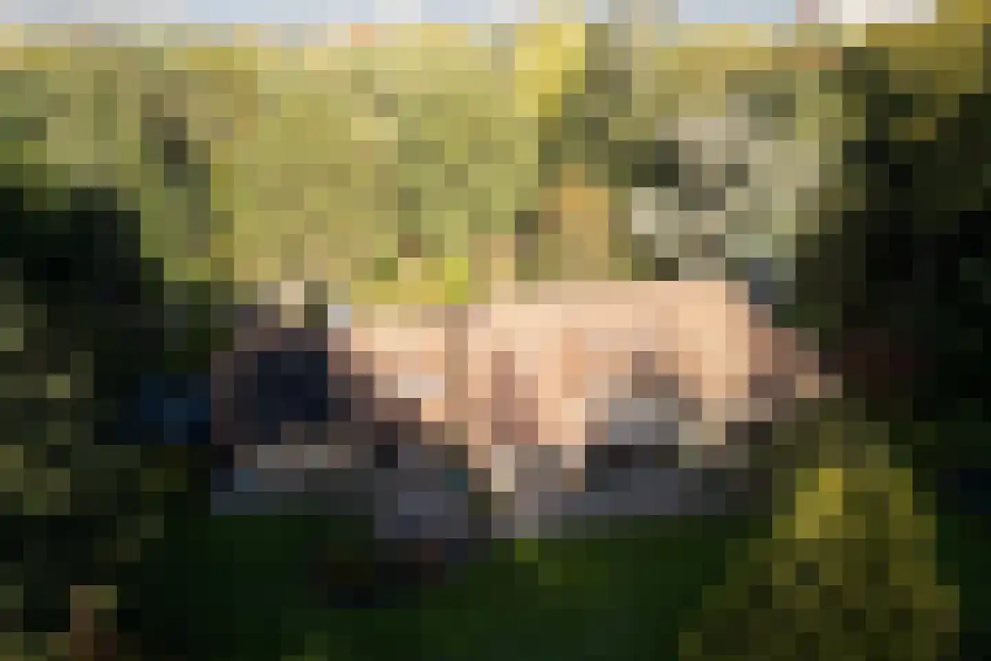 Boslaan 4 Mierlo thumbnail 93